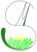 Massagepraxis Strässle